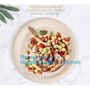 Catering Eco-Friendly Container Compartment Starch lunch Meal Box, Disposable