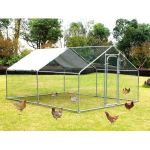 Stable Structure PE Roof OEM Chicken Run Kennel