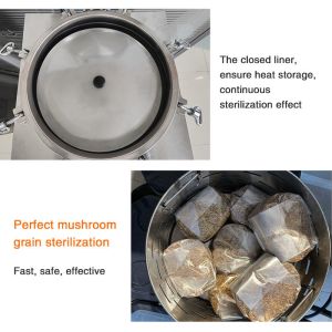 Vertical High Pressure Sterilizer Autoclave 35L In The Mushroom Cultivation