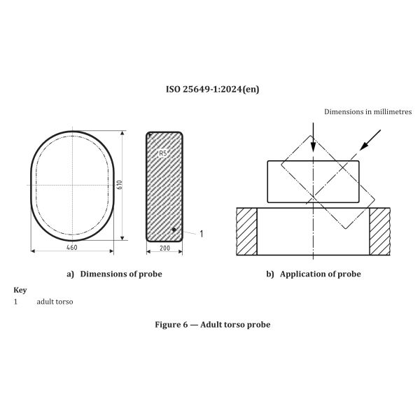 EN ISO 25649-1 Adult Torso Probe