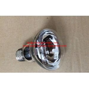 Niche Underwater Swimming Pool Lights R63 100W Halogen Bulb