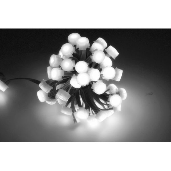 0.75W RGB Full Color 12V IP67 Waterproof LED Pixel for Outdoor Lighting