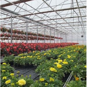 US Single-Arch Hydroponics Greenhouse for Pepper Production Package Gross Weight