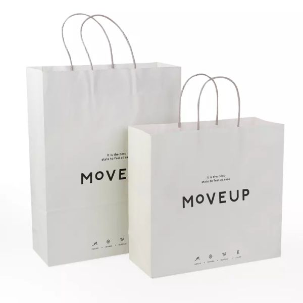 Takeout Packaging Paper Bag Logo Printing Varnishing Kraft Paper Bag TUV