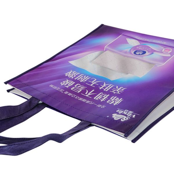 Reusable Laminated Non Woven Polypropylene Bags With Custom Logo