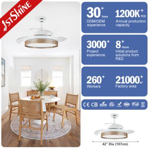 Noiseless OEM Decorative Lighting Ceiling Fan with Dimmable Function and 3