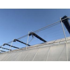 Steel Structure Multi-Span Hydroponic Greenhouse System for Sustainable