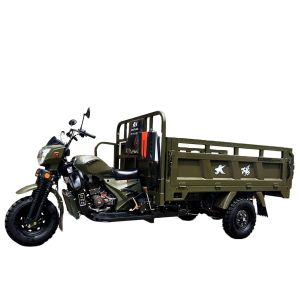DAYANG 5.0-12 Tire Size Motorized Tricycle for Food Delivery in Tanzania Market