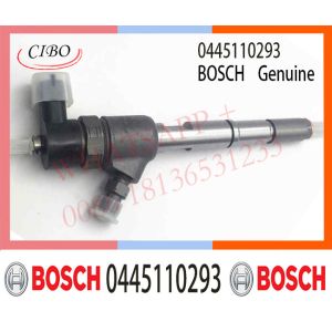 China 0445110293 Common Rail Fuel Injector For Bosch Greatwall Hover 1112100-E06 0 on sale