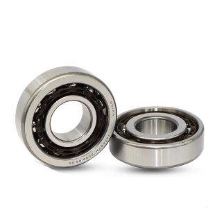 150bar10styndblp4a; 150btr10styndblp4a Angular Contact Ball Bearings Wastewater