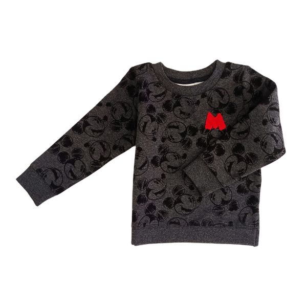 Boys and Girls Pullover Customized Cotton Kid Hoodie with Regular Sleeve Style