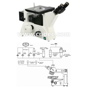 200X APO Metallurgical Microscopes , WF10X - 22mm Rohs CE A13.0210