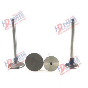 YN36GB2 Engine PISTON Valve 01628412 For KUBOTA