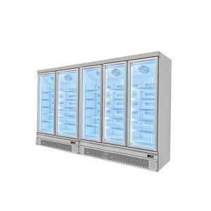 Rapid Frozen Glass Doors Upright Commercial Freezer Display For Supermarket