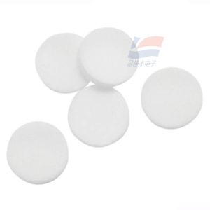 GA-PFMAX XT-RF-H5 Particulate Pump Filter Replacement Use For GasAlert Max XT