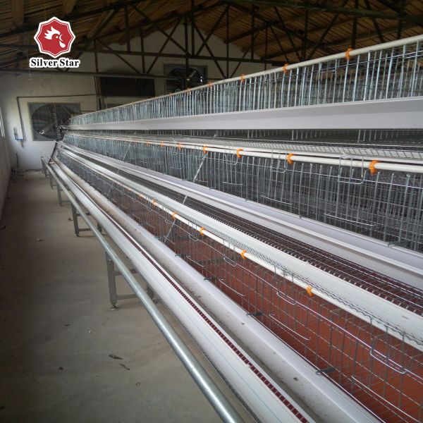 Buy Egg Laying Chicken Cage With Full Automatic System at wholesale prices