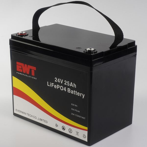 Buy Built-in BMS 24V Lithium Iron Phosphate Battery with 3C Discharging Rate and 20A Maximum Charging Current at wholesale prices