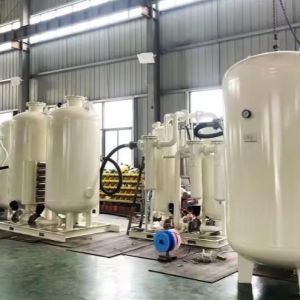China High Capacity 1-2000m³/h PSA Nitrogen Generator for Pharma Industry with 220-575V Voltage and 12 Months Warranty on sale