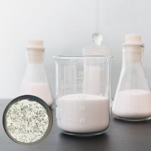 HN10 Hollow Glass Microspheres for Construction 30-115 µm