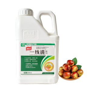 35-60% Organic Soil Conditioner Fertilizer Agriculture Humic Acid Granular