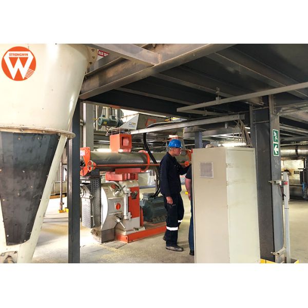 Complete Chick Animal Feed Production Line Stable With Siemens Motor SKF Bearing