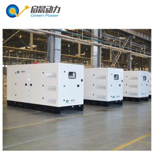 200kw LPG Generator Set with ATS Silent Canopy