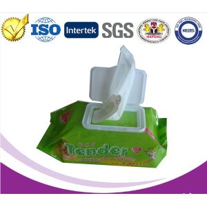 Quality High Quality and Lowest Price of Disposable Baby Wet Wipes for sale