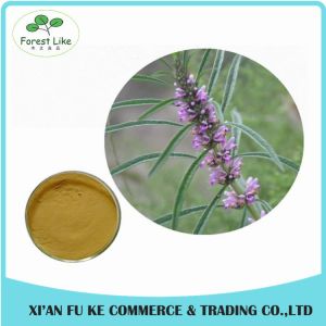 Clear Heart and Regulate Menses Natural Motherwort Herb Extract