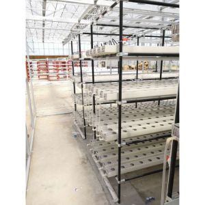 Vertical Farming Plant NFT Hydroponic Smart Garden White 110V/220VAC