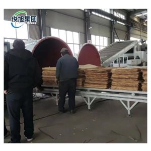 Customizable Evaporation Capacity Wood Radio Frequency Drying Kiln Vacuum Drying
