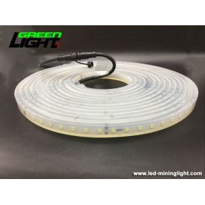 Silicone 2000LUX SMD5050 Flexible Led Strip Lights 16W/M For Tunnel