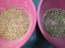 Wenyao CCD RGB Cashew Nut Colour Intelligent Sorting Machine for Grain Sorting in Throughput 5-8t/h