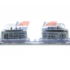 H2S-B1 Gas H2S Sensors Hydrogen Sulfide Sensor Portable Detection Instruments