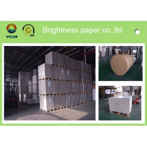 Buy Anti Curl Strong Stiffness Coated Board Paper Sheets 300gsm Thickness at wholesale prices