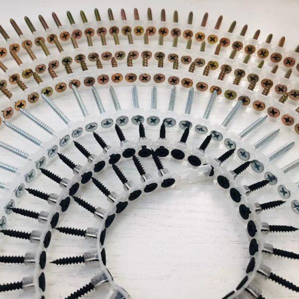 Buy Anti-corrosion galvanized collated drywall screw collated self-tapping screws at wholesale prices