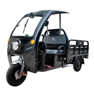 Cheaper Strong Power 60V 1500W Tricycles for 3 Wheel Passenger Electric Adult