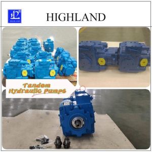 Customizable Tandem Hydraulic Pumps With Swash Plate Structure Design