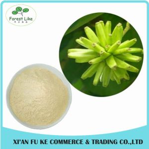 100% Natural Chaste Tree / Fructus Viticis Extract Powder