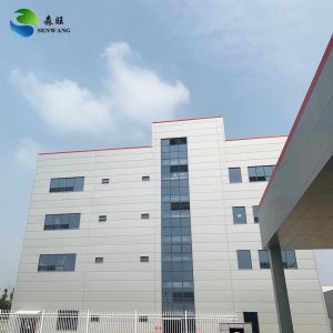 Customized Galvanized Steel Frame Structure with Aluminum Windows