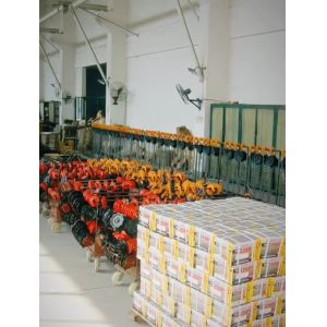Big Capacity Hoist Lifting Devices Equipment Economical Slim Shape