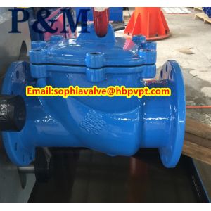 BS5153 cast iron swing check valve