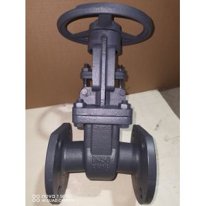 Quality Cast Iron Gate Valve with 150-300 PSI Pressure Rating and ≤120℃ Operating Temperature Compliant with API 598 Testing Standard for sale