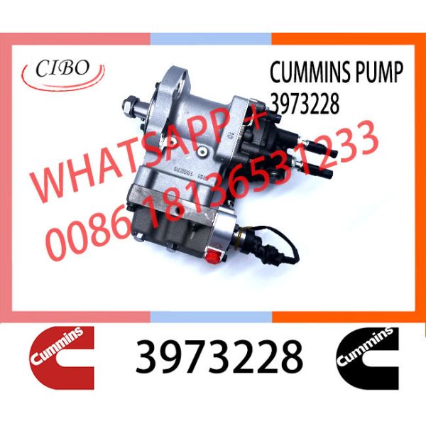 Cumminss Engine Parts QSL Diesel Fuel Injection Pump 3973228 4954200 2872191 4902731 2872930 4921431