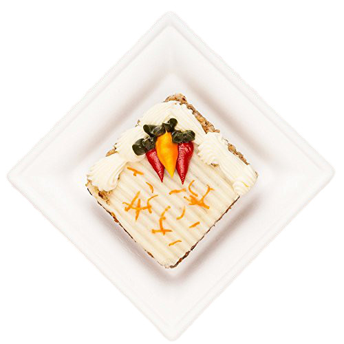 Buy 6 Inch 10g Cake Rectangle Biodegradable Sugarcane Plates at wholesale prices