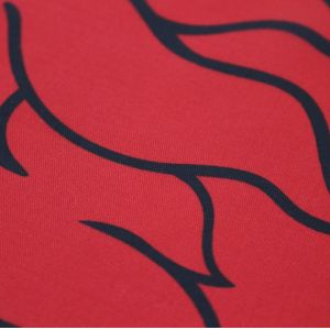 W5'' Scotland Copper Grommet Royal Standard Flag