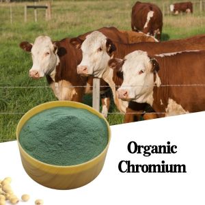 Quality 8% Chrominum Picolinate Organic Chromium Salt Animal Feed Additive for sale
