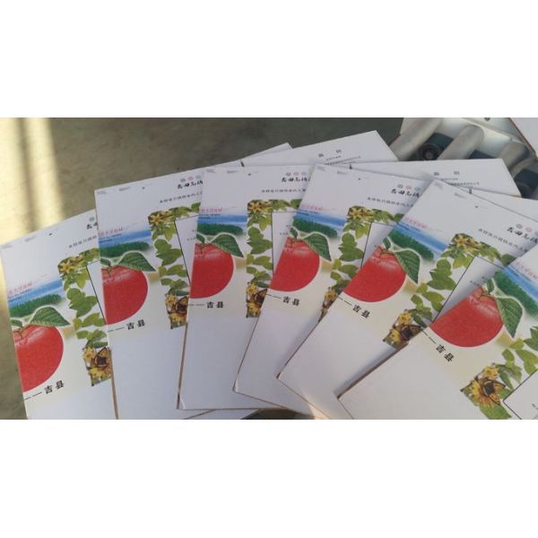 Fully Automatic Carton Making Machine , 380v Electrical Corrugated Box Machine