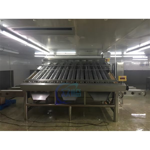 Stable Small Fish Grading Machine Multifunctional 6000x5200x2200mm