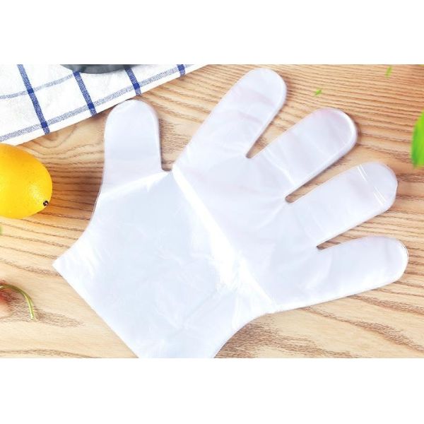 Buy Biodegradable Disposable PE Glove For Medical Checking / Food Handling at wholesale prices