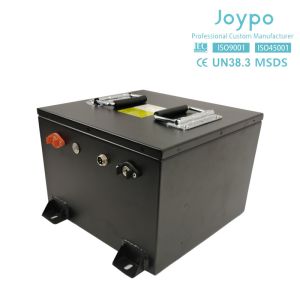 Electric Golf Cart 48 Volt Li Ion Battery Pack Prismatic LiFePO4 Battery